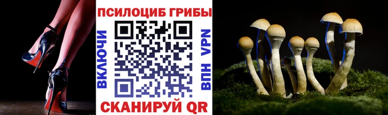 Псилоцибиновые грибы мицелий где купить МЕГА рабочий сайт Назарово